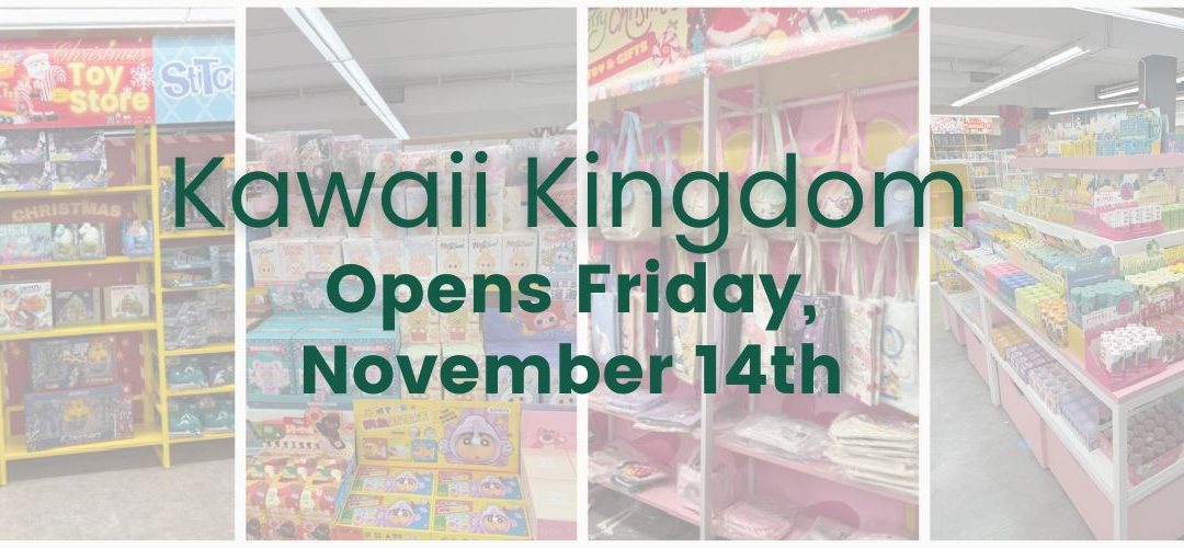Kawaii Kingdom Pop-Up Open at Market City Shopping Center – Friday, Nov. 14, 2025